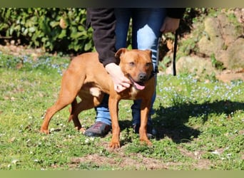 Zorro - was für ein Name