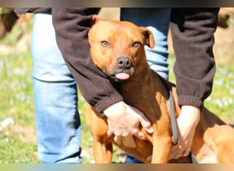 Zorro - was für ein Name