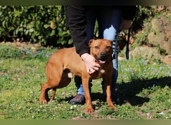 Zorro - was für ein Name