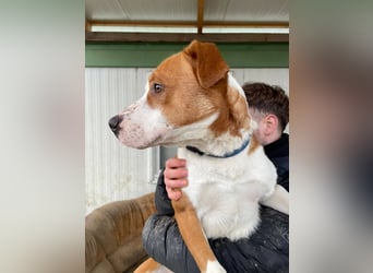 Zeus, aktiv und menschenorientiert