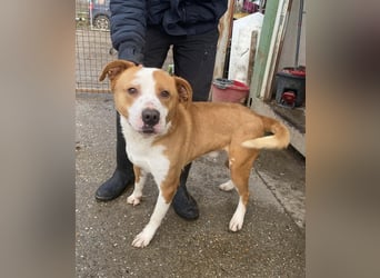 Zeus, aktiv und menschenorientiert