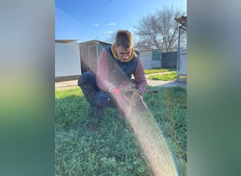 Cherry, sucht aktive Menschen, Vermittlung nur nach CH,SWE,NL o. A