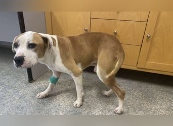 Jonathan , freundlich und zutraulich