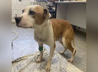 Jonathan , freundlich und zutraulich