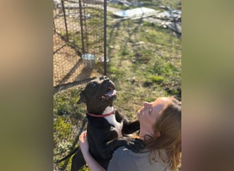 Lepke, dynamisch und lieb