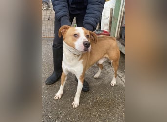 Zeus, aktiv und menschenorientiert