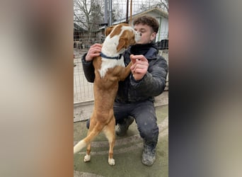 Zeus, aktiv und menschenorientiert