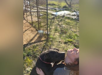 Lepke, dynamisch und lieb