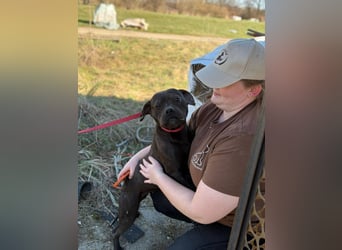 Lepke  wäre gerne Einzelprinzessin