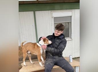 Zeus, aktiv und menschenorientiert