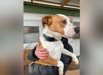 Zeus, aktiv und menschenorientiert