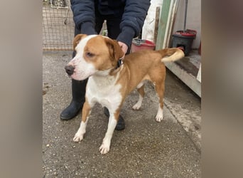 Zeus, aktiv und menschenorientiert