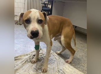 Jonathan , freundlich und zutraulich