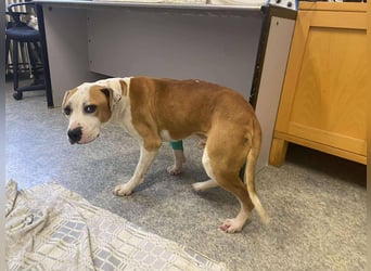 Jonathan , freundlich und zutraulich