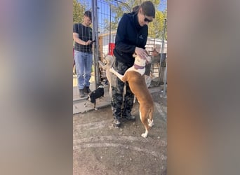 Jonathan , freundlich und zutraulich