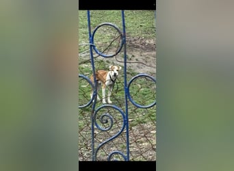 Jonathan , freundlich und zutraulich