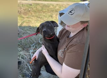 Lepke  wäre gerne Einzelprinzessin