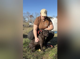 Lepke  wäre gerne Einzelprinzessin