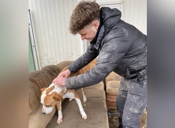 Zeus, aktiv und menschenorientiert