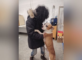 Jonathan , freundlich und zutraulich