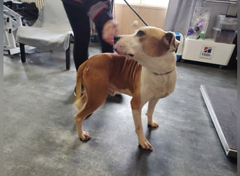 Jonathan , freundlich und zutraulich