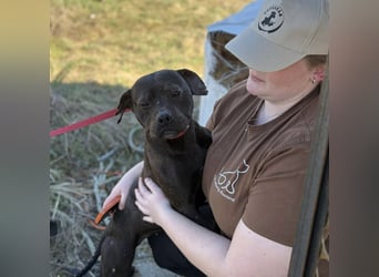 Lepke  wäre gerne Einzelprinzessin