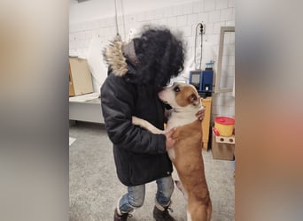 Jonathan , freundlich und zutraulich