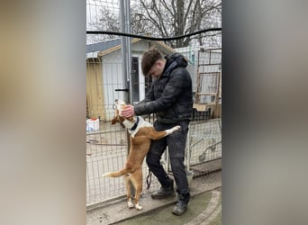 Zeus, aktiv und menschenorientiert