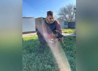 Cherry, sucht aktive Menschen, Vermittlung nur nach CH,SWE,NL o. A