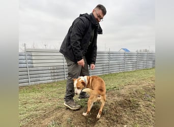 Zeus, aktiv und menschenorientiert