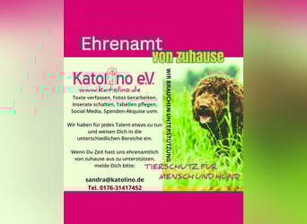 Ehrenamtliche Helfer gesucht!