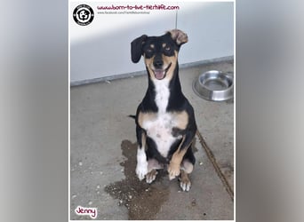 Hübsche Jenny sucht ein Zuhause für immer