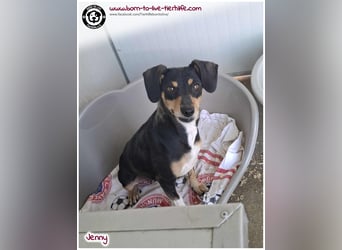 Hübsche Jenny sucht ein Zuhause für immer