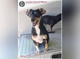 Hübsche Jenny sucht ein Zuhause für immer