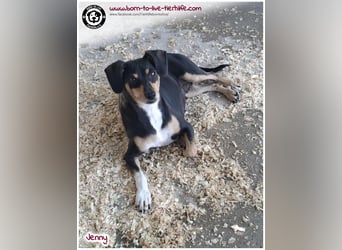 Hübsche Jenny sucht ein Zuhause für immer