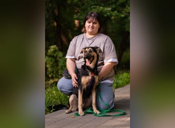 Der mutige Philip sucht seine Menschen