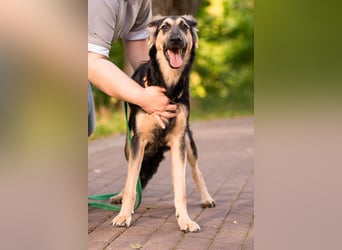 Der mutige Philip sucht seine Menschen