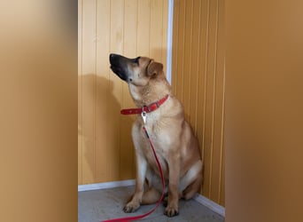 Junge hübsche Leia sucht Familie