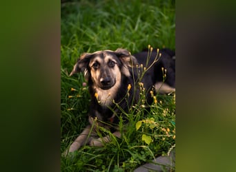 Der mutige Philip sucht seine Menschen