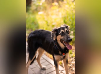 Der mutige Philip sucht seine Menschen