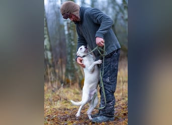 Aufgeschlossener Lord sucht aufgeschlossene Menschen