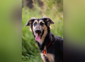 Der mutige Philip sucht seine Menschen