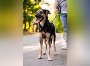 Der mutige Philip sucht seine Menschen