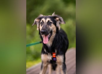 Der mutige Philip sucht seine Menschen