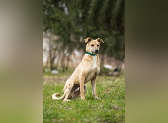 Kai sucht Menschen zum lieben