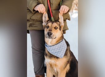 Junger Pluto sucht seine Menschen