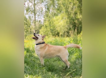 Grey ist aktiv im Leben