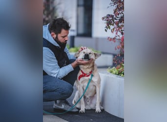 Skye treue seele sucht ....