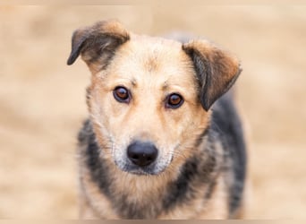 Mit wem kann Nora durch dick und dünn gehen?!