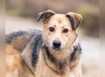 Mit wem kann Nora durch dick und dünn gehen?!